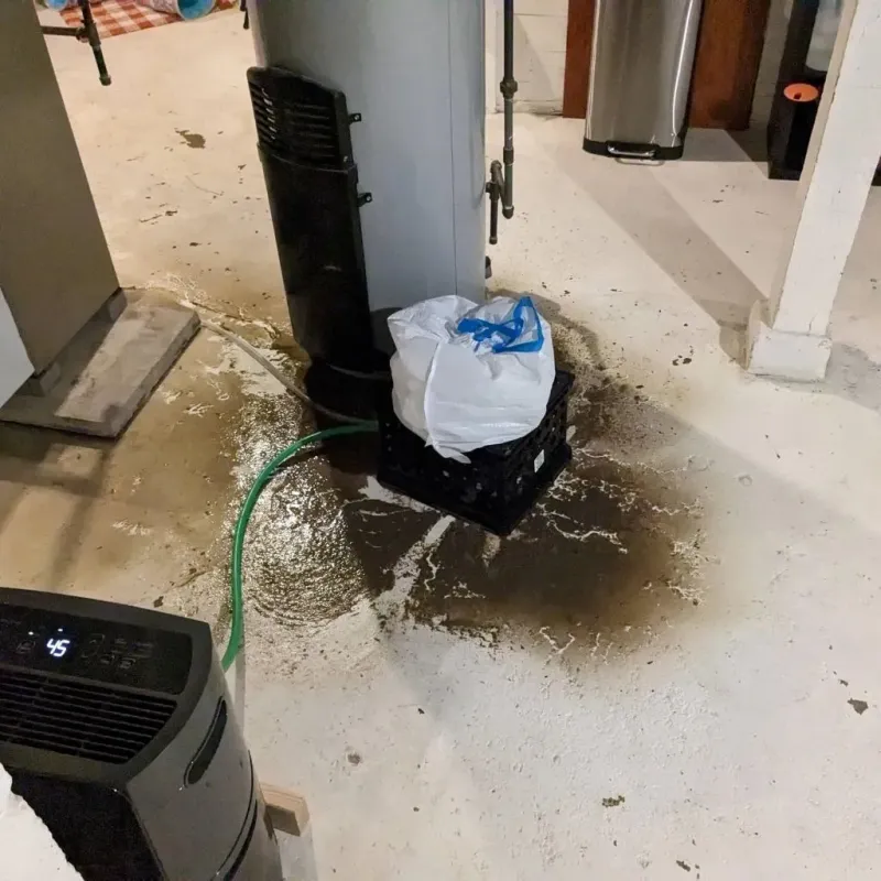 Sewage Backup Cleanup Service in Meriwether County, GA